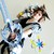 manashne :iconmanashne:
