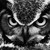 ManedWolfChick :iconmanedwolfchick: