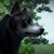 MarbleCat04 :iconmarblecat04: