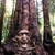 marcmoss :iconmarcmoss: