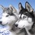 MarianaCostars :iconmarianacostars: