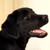 Marianne95 :iconmarianne95: