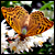 Mariflay :iconmariflay: