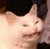 marigr13 :iconmarigr13: