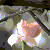 DeviantArt profile picture for @mArili on DeviantArt