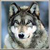 DeviantArt profile picture for @Marked on DeviantArt