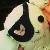 MaroonWar :iconmaroonwar: