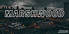 MarshwoodOFFICIAL's avatar