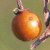 martsen79 :iconmartsen79:
