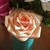 marybscully :iconmarybscully: