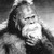 Master-Zach :iconmaster-zach: