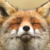 Mathardent :iconmathardent: