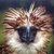 Matt-art4life :iconmatt-art4life:
