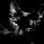 Maxithecat05AJ :iconmaxithecat05aj: