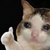 Maxy-The-Bear :iconmaxy-the-bear: