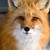 mayeell :iconmayeell: