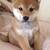 Mayme-Chan :iconmayme-chan: