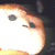 meheekano :iconmeheekano: