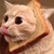 mehwhocares184 :iconmehwhocares184: