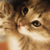 Melio-chan :iconmelio-chan: