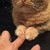 mellovatic :iconmellovatic: