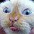 MelodyBAE :iconmelodybae: