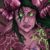 MercuryAshoke :iconmercuryashoke: