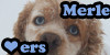 Merle-Lovers's avatar