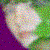 DeviantArt profile picture for @metaphorical on DeviantArt