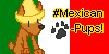 Mexican-Pups's avatar