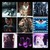 michellevickers33 :iconmichellevickers33: