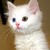 :iconmightbeaweaboo: