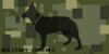 Military-Canines's avatar