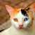 milla-jojovich :iconmilla-jojovich:
