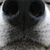 DeviantArt profile picture for @ming on DeviantArt