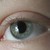 miniwolf182 :iconminiwolf182: