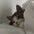 minnietucker :iconminnietucker: