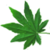 mintgloria :iconmintgloria:
