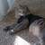 MintSphinx :iconmintsphinx: