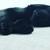 MissArk56 :iconmissark56: