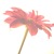 MissYDeb :iconmissydeb: