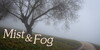 Mist-and-Fog's avatar
