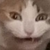 misty-saturn :iconmisty-saturn: