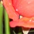 DeviantArt profile picture for @mixing on DeviantArt