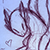 MizzSnow :iconmizzsnow: