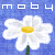 DeviantArt profile picture for @moby on DeviantArt