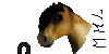 Model-Horse-Love's avatar