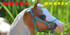 Model-Horses's avatar