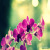 modern-pht - Digital Artist | DeviantArt