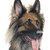 moniquepetportraits :iconmoniquepetportraits: